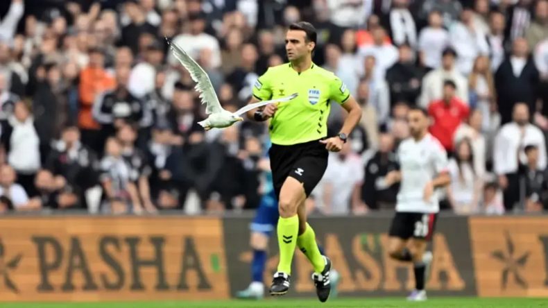 Beşiktaş-Samsunspor Maçında Sahaya Martı Girdi: Akıllara Süleyman Seba Geldi