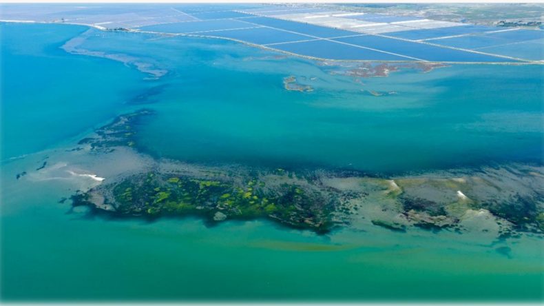 Daha Önce İptal Edilmişti: İzmir Körfez Temizliği Projesinde Yeni Gelişme