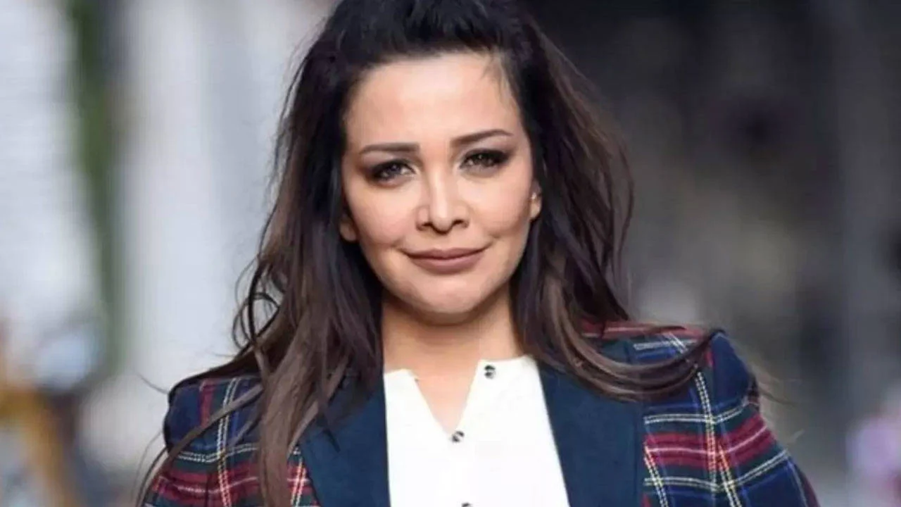 Evrim Akın Açıklama