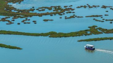 İZDENİZ ile Doğa ve Lezzet Turları: İzmir’de Heyecan Verici Etkinlikler Başlıyor!