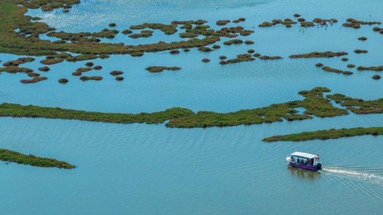 İZDENİZ ile Doğa ve Lezzet Turları: İzmir’de Heyecan Verici Etkinlikler Başlıyor!