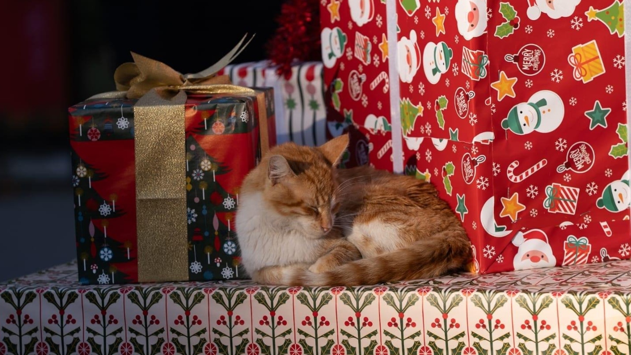 İzmir, Yeni Yılı Rengarenk Bir Festivalle Karşılıyor