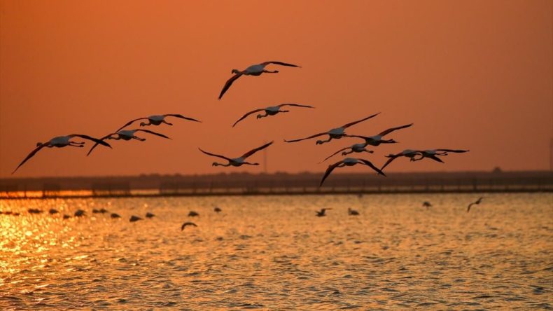 İzmir'in Eşsiz Gün Batımı Rotaları: Bodrum ve Marmaris Değil