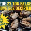 İzmir'de 27 Ton Belgesiz Midye Ele Geçirildi: Canlı Olarak Denize Bırakıldı