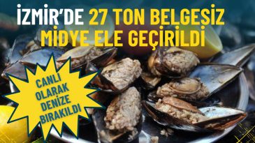 İzmir'de 27 Ton Belgesiz Midye Ele Geçirildi: Canlı Olarak Denize Bırakıldı