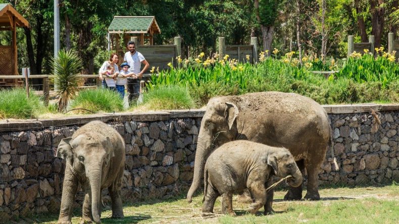 İzmir'de Ara Tatil Rehberi: Çocuklarla Nereye Gitmeli?