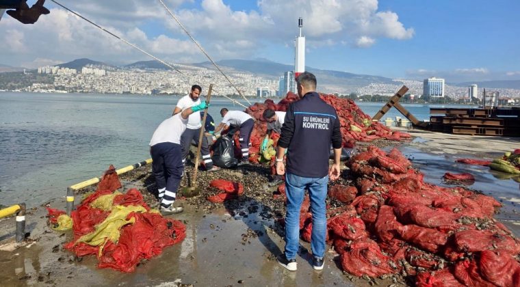 İzmir'de Eş Zamanlı Denetim: 27 Ton Kaçak Midye Ele Geçirildi