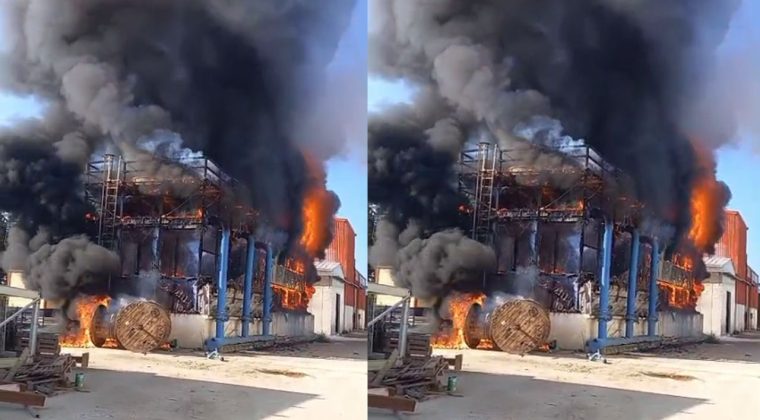 İzmir'de Yangın Alarmı: Salça Fabrikasını Alevler Sardı