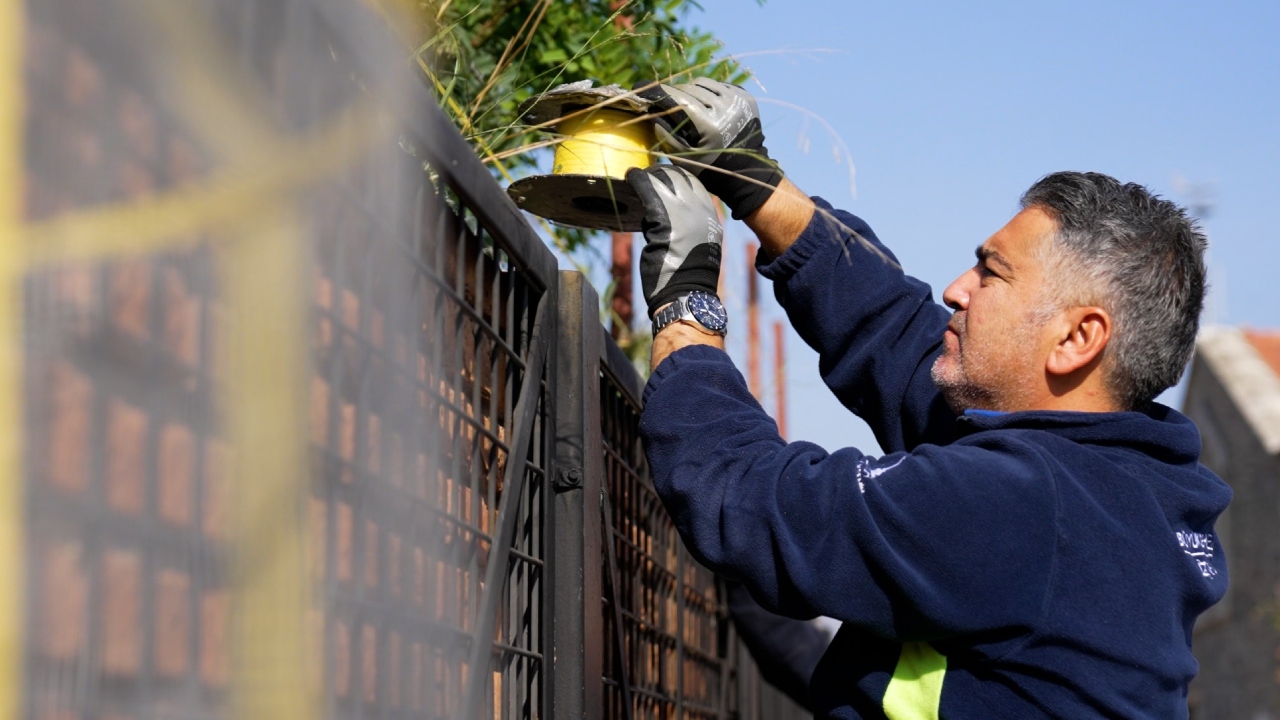 İzmir'de Karasinekle Mücadele