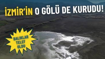 İzmir’in o gölü de kurudu: Balıklar telef oldu