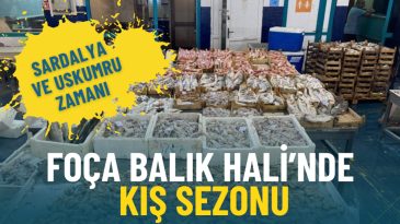 İzmir&rsquo;de balık tezgahları hareketlendi: Palamut bu yıl yok, sardalya ve uskumru d&ouml;nemi