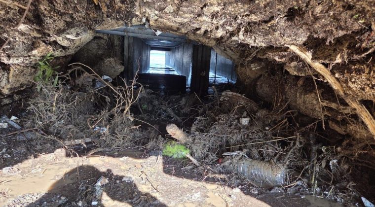 İZSU Dere Yataklarını Temizledi, Altyapı Güçlendirme Başladı