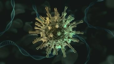 Kara Ölüm Yeniden Gün Yüzüne Çıktı: 700 Yıl Sonra!