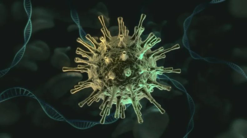 Kara Ölüm Yeniden Gün Yüzüne Çıktı: 700 Yıl Sonra!