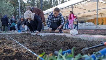 Mahalle Bostanlarında Kış Dikimleri Başlıyor: Kadınlar Üretim Yapıyor