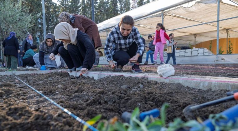 Mahalle Bostanlarında Kış Dikimleri Başlıyor: Kadınlar Üretim Yapıyor