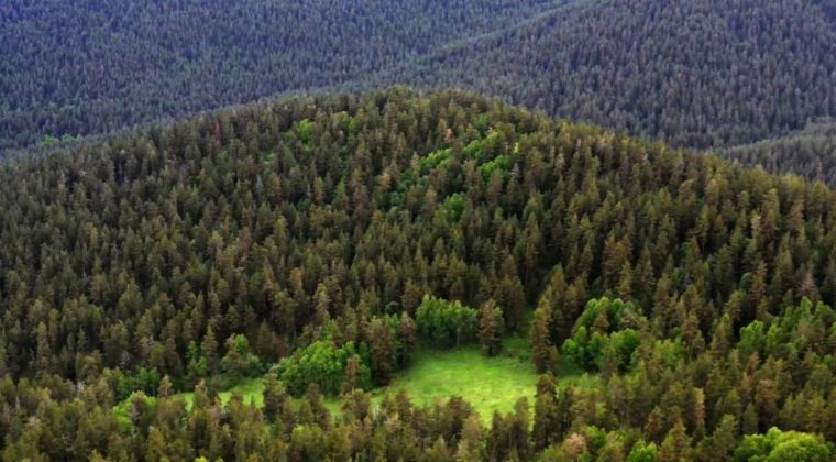 Meryem Ana’ya Komşu RES Projesi: Gözler Bakanlık’ta