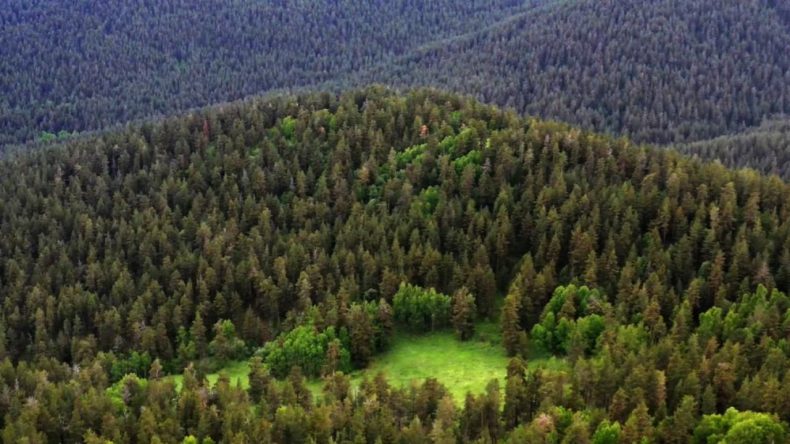 Meryem Ana’ya Komşu RES Projesi: Gözler Bakanlık’ta