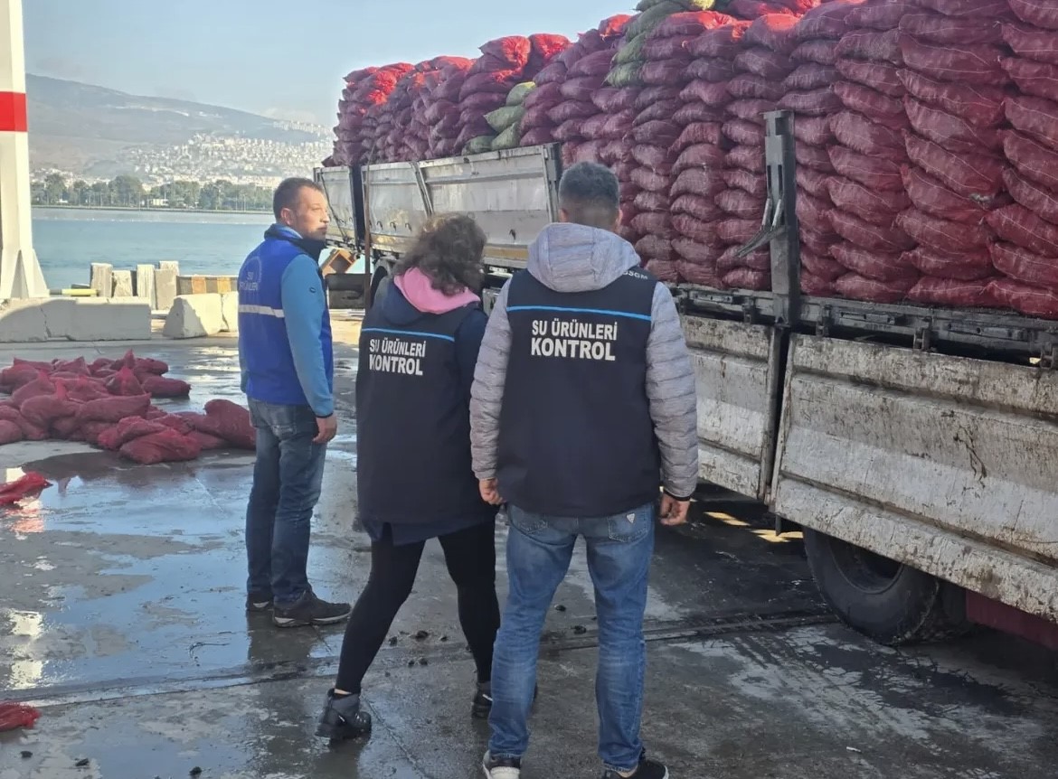 Ele geçirilen midyeler