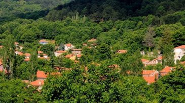 Ne Alpler ne Aspen: İzmir’in masal kasabası Bozdağ