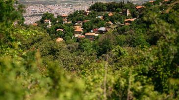 Ne Trabzon Ne Rize: İzmir&rsquo;in Şirin Kaplan K&ouml;y&uuml; Karadeniz Esintisi Sunuyor!