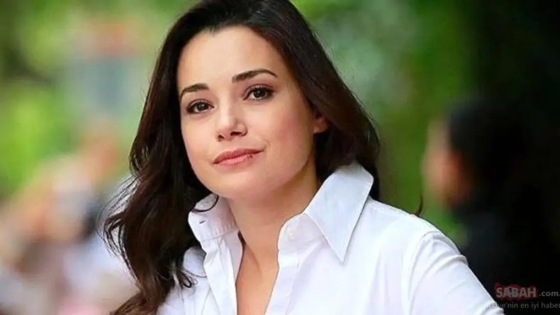 Özgü Namal, Çocuklarıyla Beraber Trafik Kazası Geçirdi