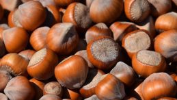 Rekabet Kurulu Ferrero i&ccedil;in kararını verdi!