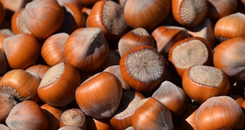 Rekabet Kurulu Ferrero için kararını verdi!