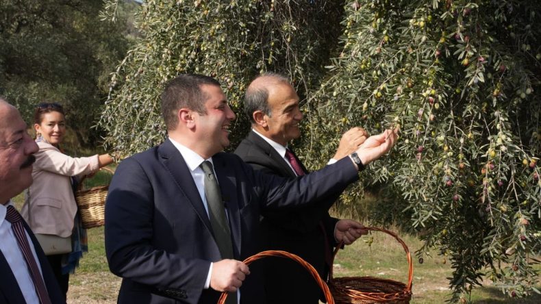 Torbalı'dan Dünya Pazarına: 8 Bin Yıllık Miras Yeniden Canlandı