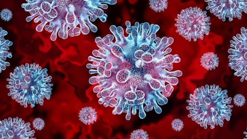 Yeni Salgın Endişelendiriyor: H3N2 Virüsü Mutasyona Uğradı!