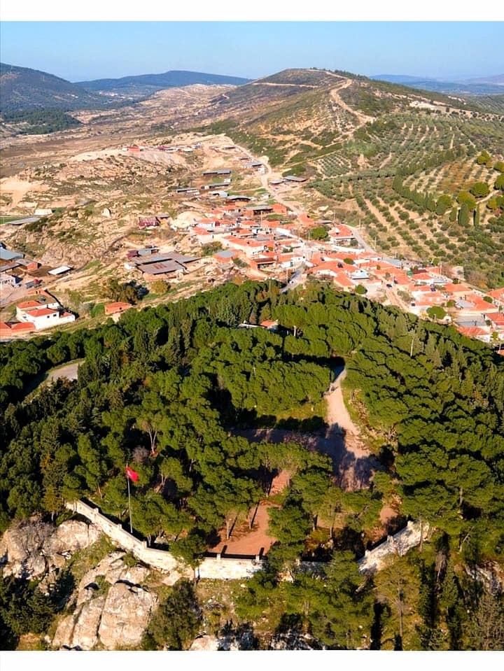 Kurutulmuş Domatesler