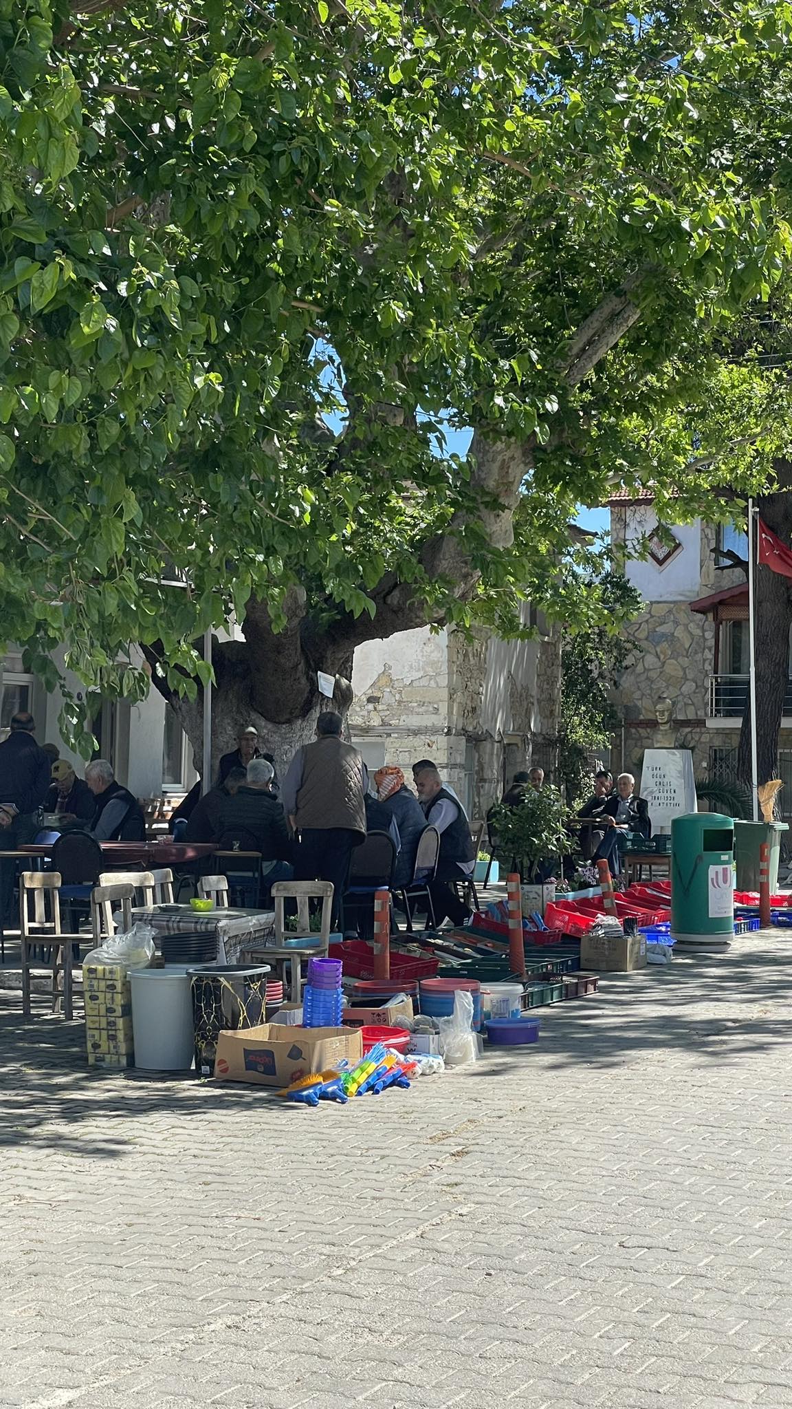 Ne Çeşme ne Seferihisar İzmir’de zeytinle çevrili bir köy var