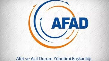 AFAD&rsquo;da Ş&uuml;pheli K&ouml;pek &Ouml;l&uuml;m&uuml; İddiası: 6 Kedi de Kayıp!
