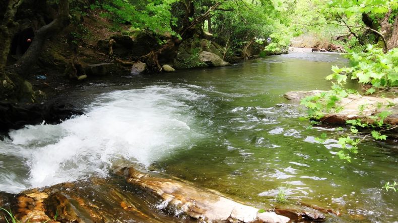 Asırlık &Ccedil;ınarların G&ouml;lgesinde Hafta Sonu Ka&ccedil;amağı: İzmir&rsquo;in Şirin K&ouml;y&uuml;