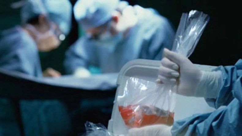 B&ouml;brek Nakli Sonrası Kuduzdan &Ouml;l&uuml;m Ger&ccedil;ekleşti!