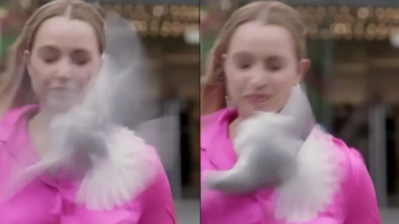 Canlı Yayında Şaşırtan Olay: Muhabire Kuş Çarptı!