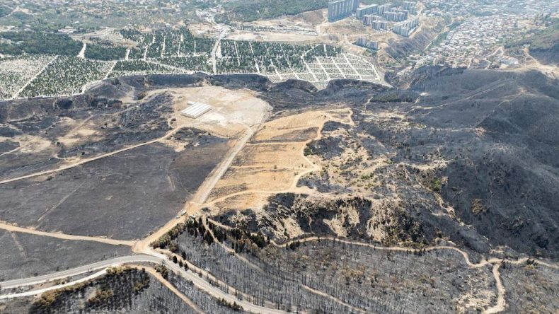 CHP&rsquo;li Rızvanoğlu Bayraklı &Uuml;zerinden Uyardı: Bir Orman, Bir Gecede Orman Vasfını Kaybeder Mi?