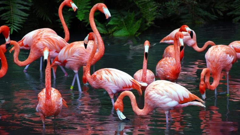 İzmir: Avrupa'yı Geride Bırakan Gizli Doğal Cennet