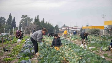 İzmir&rsquo;in 3 Mahallesine Yeni Bostan Projesi: Yeni Noktalar Geliyor