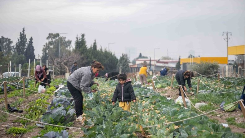 İzmir’in 3 Mahallesine Yeni Bostan Projesi: Yeni Noktalar Geliyor