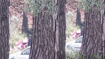 İzmir&rsquo;de Ormanlık Alanda Kadına Şiddet Olayı: Ş&uuml;pheli Hızla Yakalandı