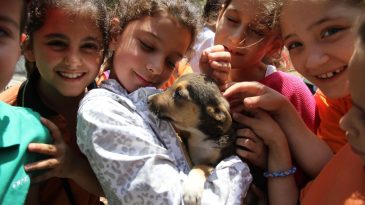 Karşıyaka’da 40 Bin Can Dosta Şefkat Eli