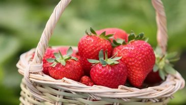Kokusu ve Aromasıyla Biliniyor: İzmir&rsquo;in Lezzetinin &Uuml;n&uuml; Avrupa&rsquo;yı Aştı