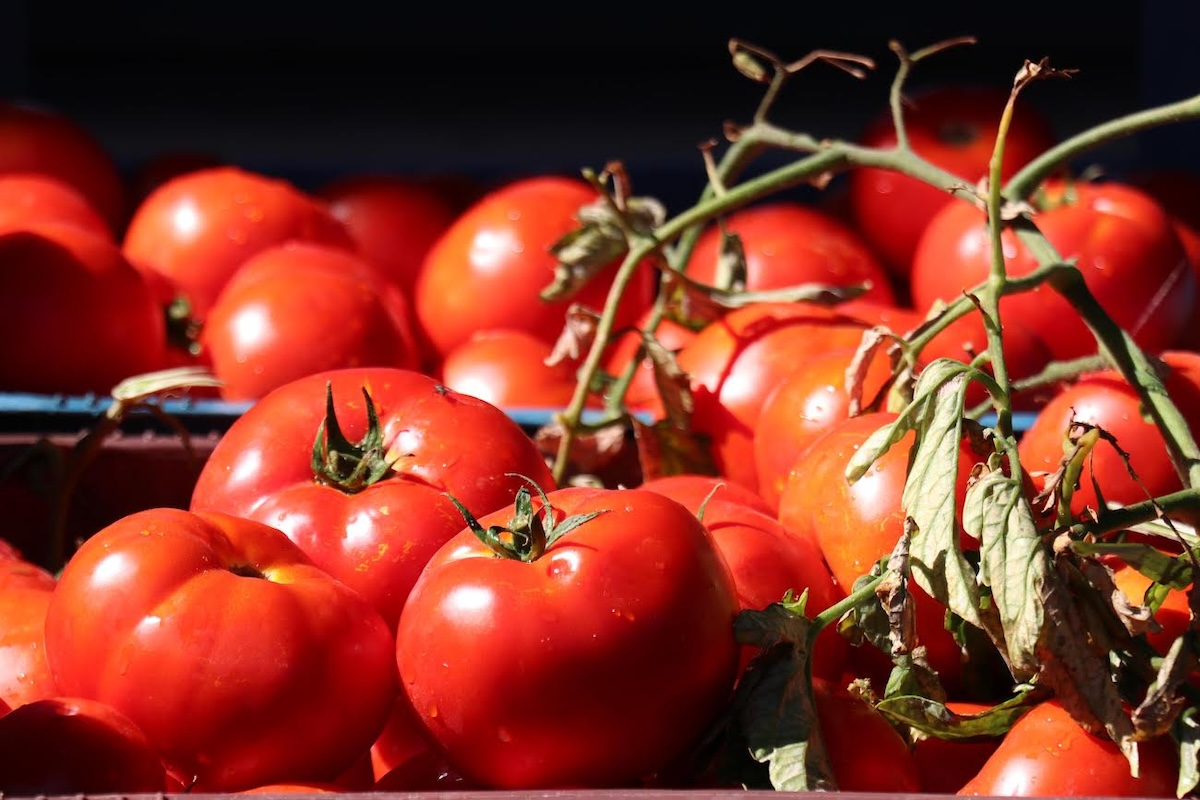 Gerenköy Manzarası