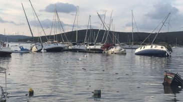 Teos Yat Limanı Projesinde Deprem ve Tsunami Riski: Yapılaşma Olmamalı!