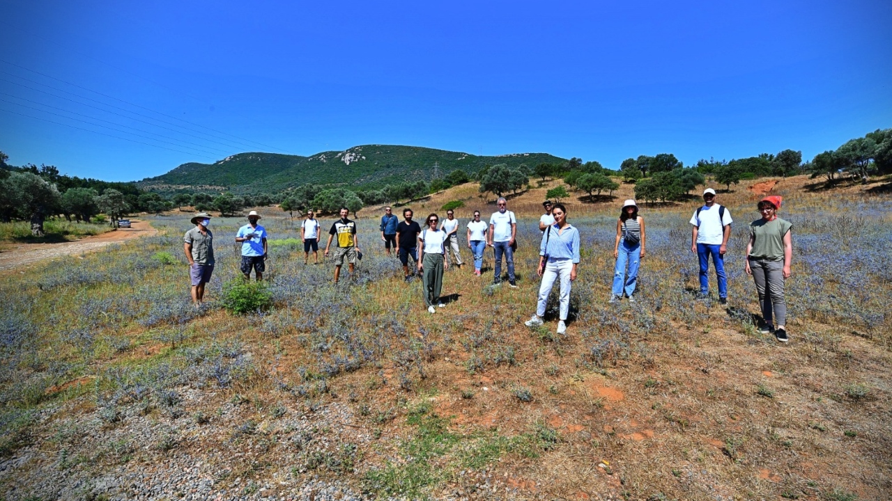 Yelki Akdeniz Ormanı Girişi