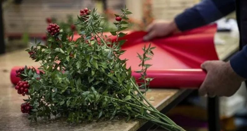 Yılbaşının Gözdesi: Zahmetli Kokina, Bir Demeti 2 Bin TL!