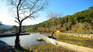 Yılın Son G&uuml;nlerinde İzmir&rsquo;de Sakinlik Arayanlar i&ccedil;in: Homeros Vadisi ve Bornova Deresi