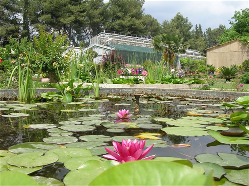 Ege Üniversitesi Tabiat Tarihi Müzesi