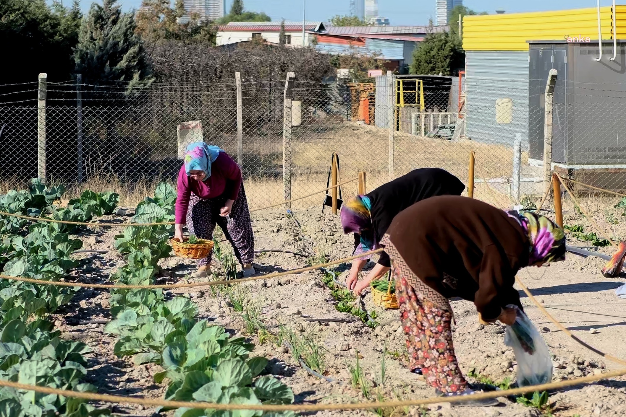İzmir Sahne Tozu Tiyatrosu